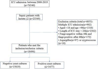 Impact of early empirical antifungal therapy on prognosis of sepsis patients with positive yeast culture: A retrospective study from the MIMIC-IV database